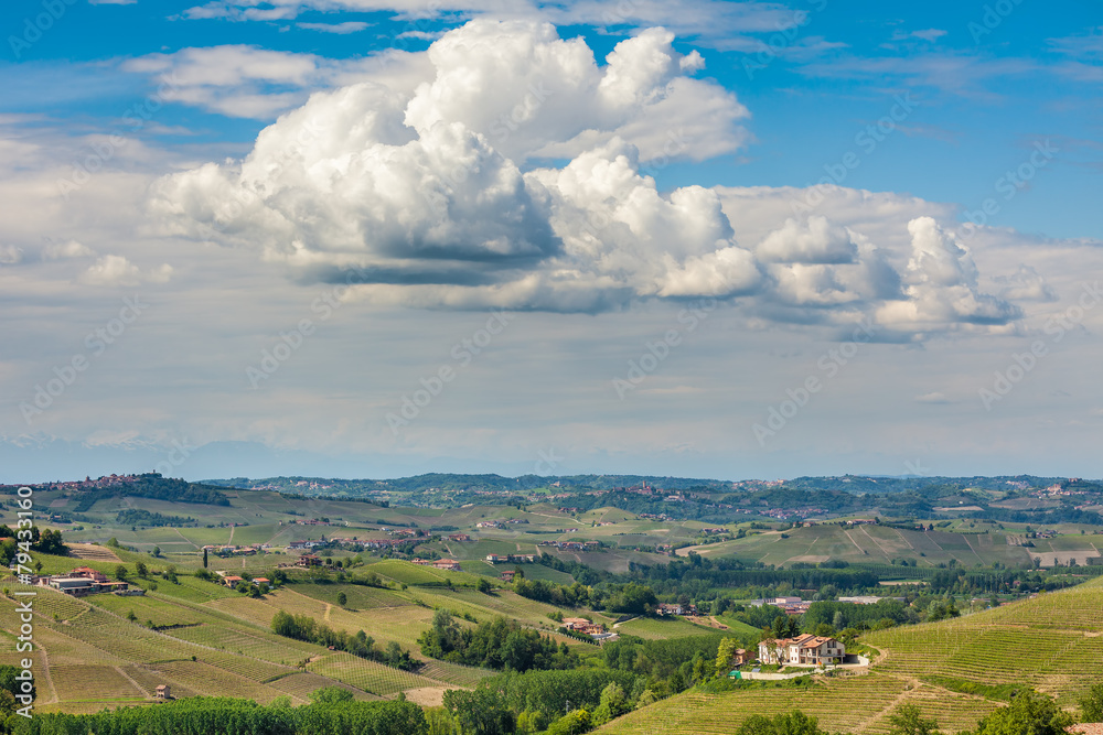 Green hills of Piedmont in spring.