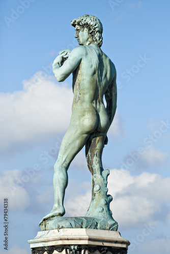 David (Michelangelo) on blue sky background, back view