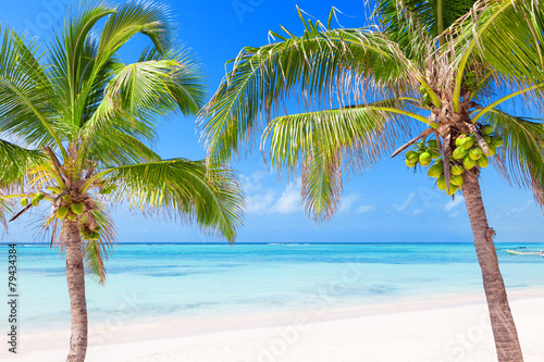 Tropical beach with coconut palms and transparent waters