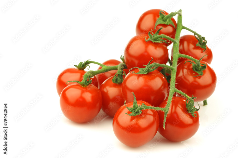 fresh cherry tomatoes on the vine on a white background fresh cherry tomatoes on the vine on a white background