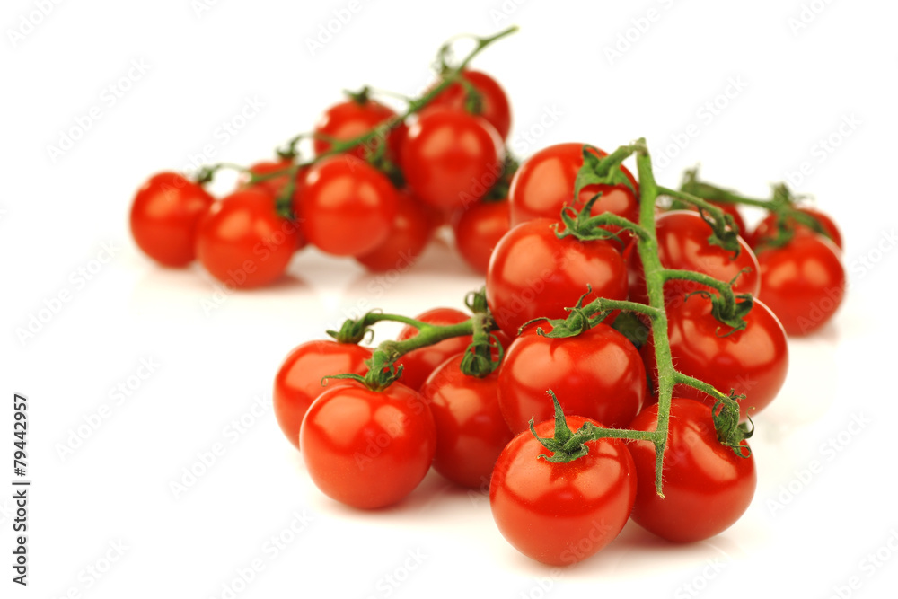 fresh cherry tomatoes on the vine on a white background