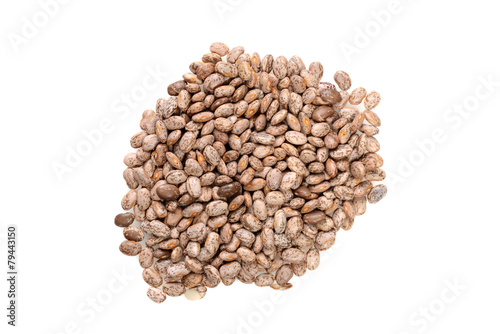 top view pinto bean