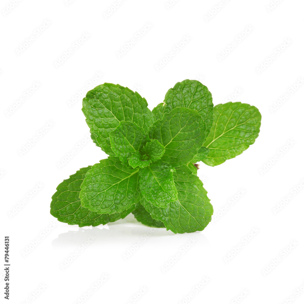mint on white background mint on white background