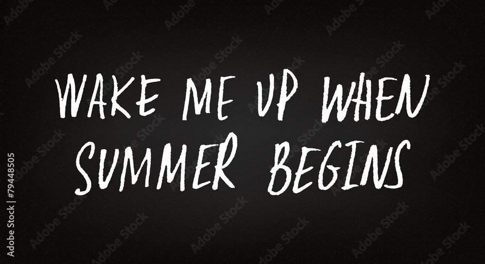 Obraz premium Hand drawn summer quote