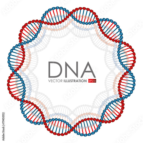 DNA design, vector illustration.