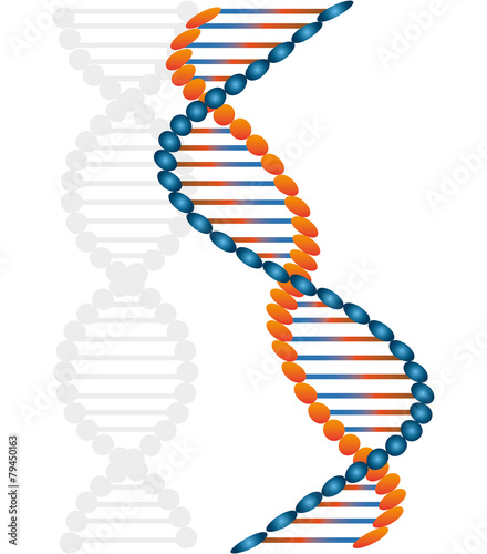 DNA design, vector illustration.