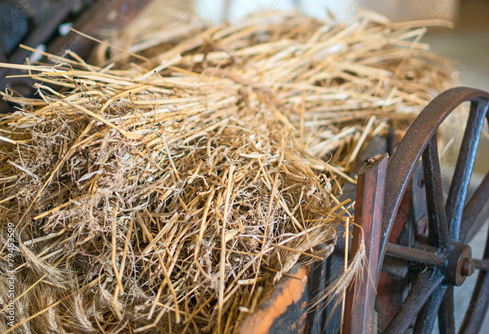 Bundle of hay on the wagon.
