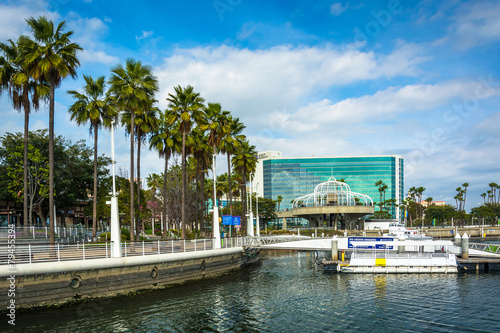 Palm trees and buildings along the harbor in Long Beach, Califor photo