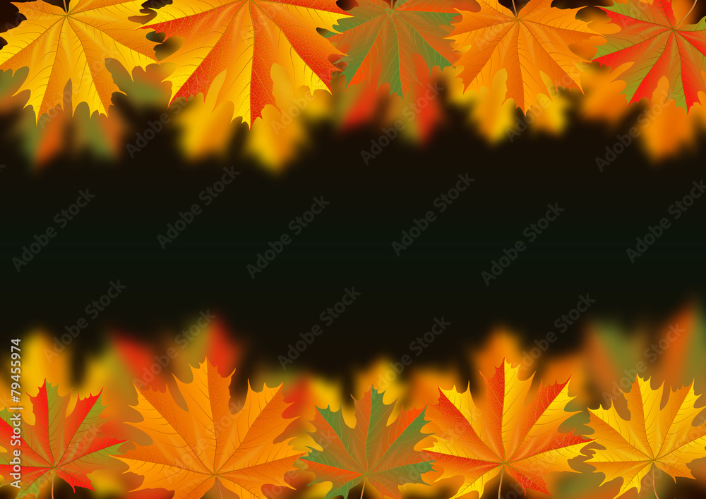 Autumn leaves background