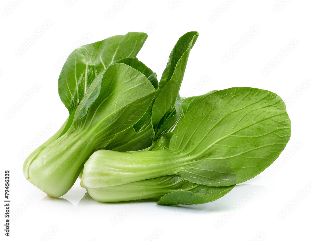 Bok choy on white background