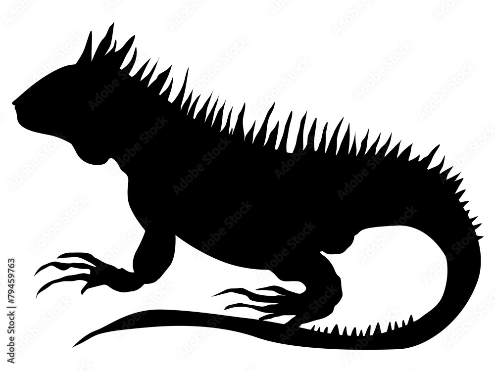 Naklejka premium iguana