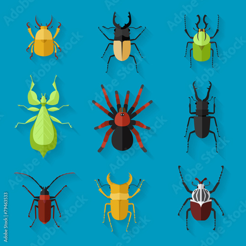 Insects icon set, Vector illustration