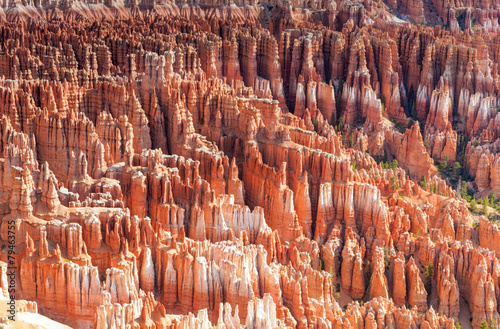 Line of Brown and Yellow Sandstone Cliffs and Pinnacles in Bryce