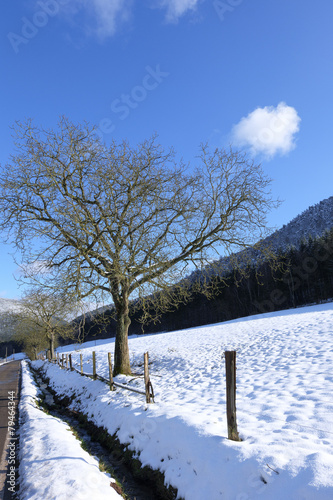 Winter im Modenbachtal © AnnaReinert