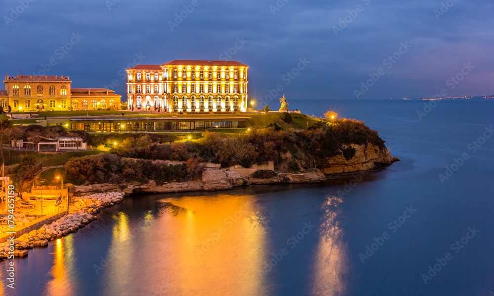 Palais du Pharo in Marseille by night - France