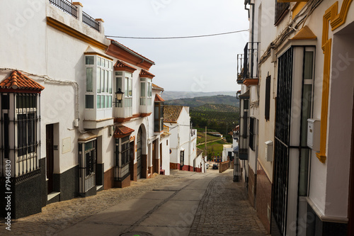 ordinary  street in spanish town. Olvera