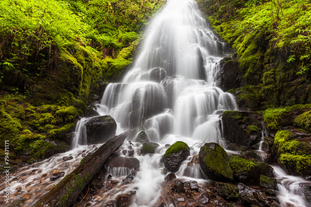 Obraz premium Fairy falls in Columbia River Gorge, Oregon