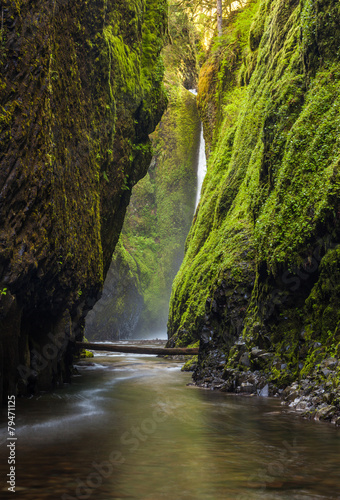 Fotografie, Obraz Oneonta gorge trail in Columbia river gorge, Oregon