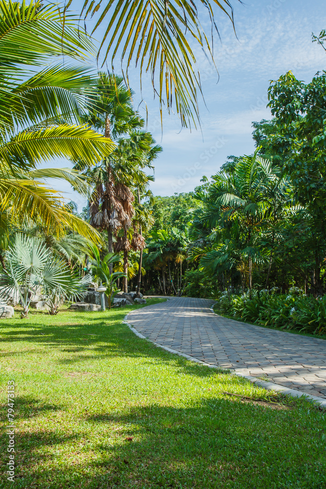 Obraz premium flower garden