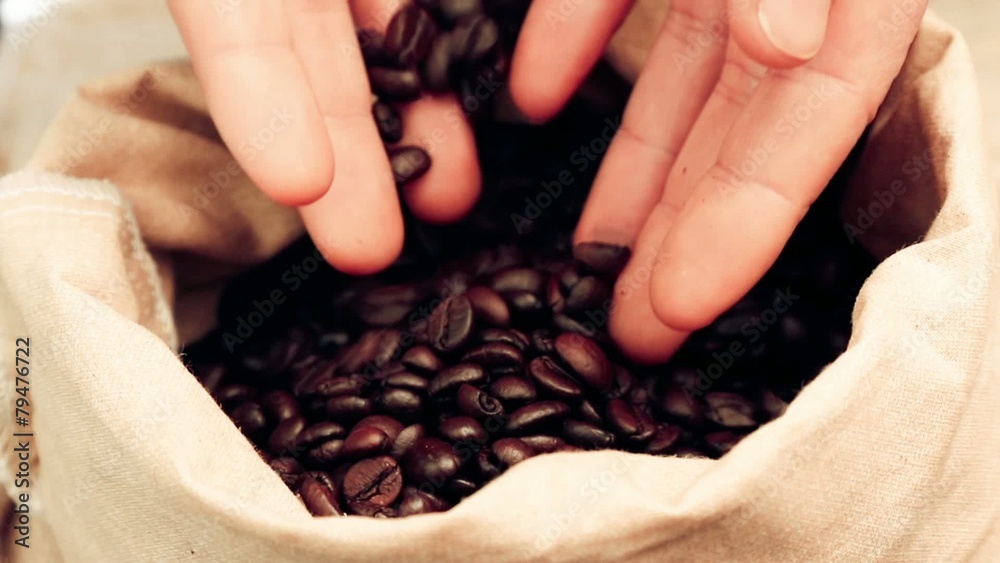 man adult hands holding coffee beans in a canvas sack man adult hands holding coffee beans in a canvas sack