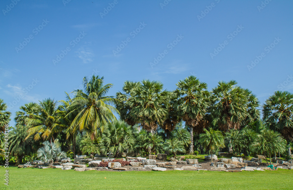 Fototapeta premium Garden in Thailand