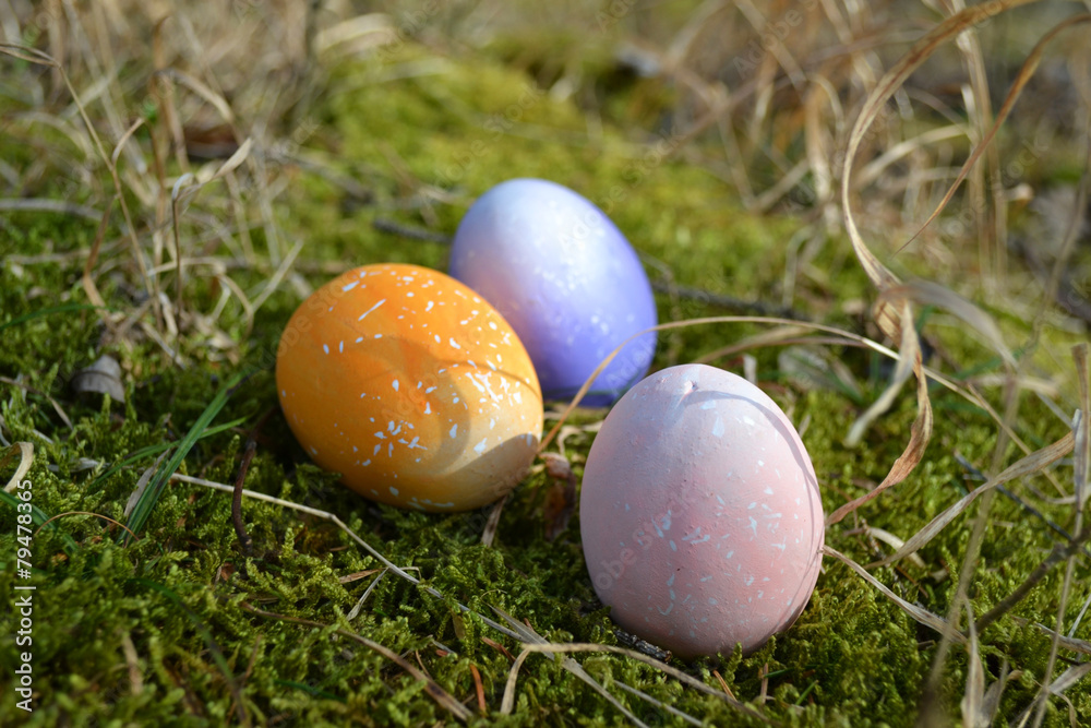 Bunte Ostereier Im Moos Bunte Ostereier Im Moos
