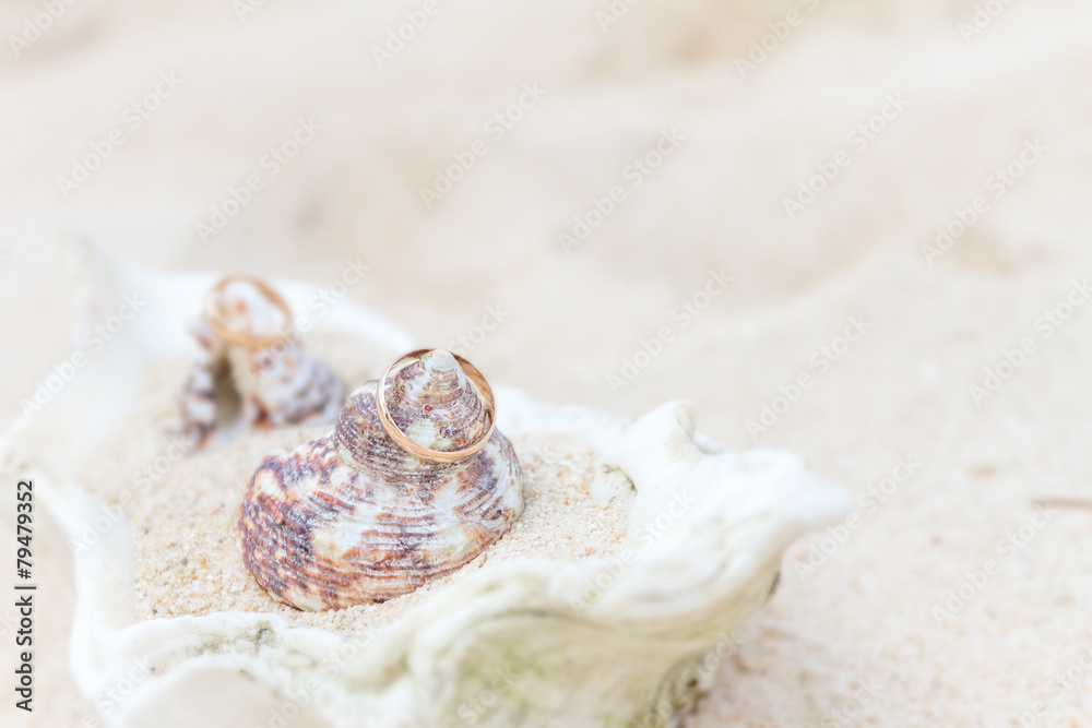 wedding rings on sand and shell, outdorr beach wedding wedding rings on sand and shell, outdorr beach wedding