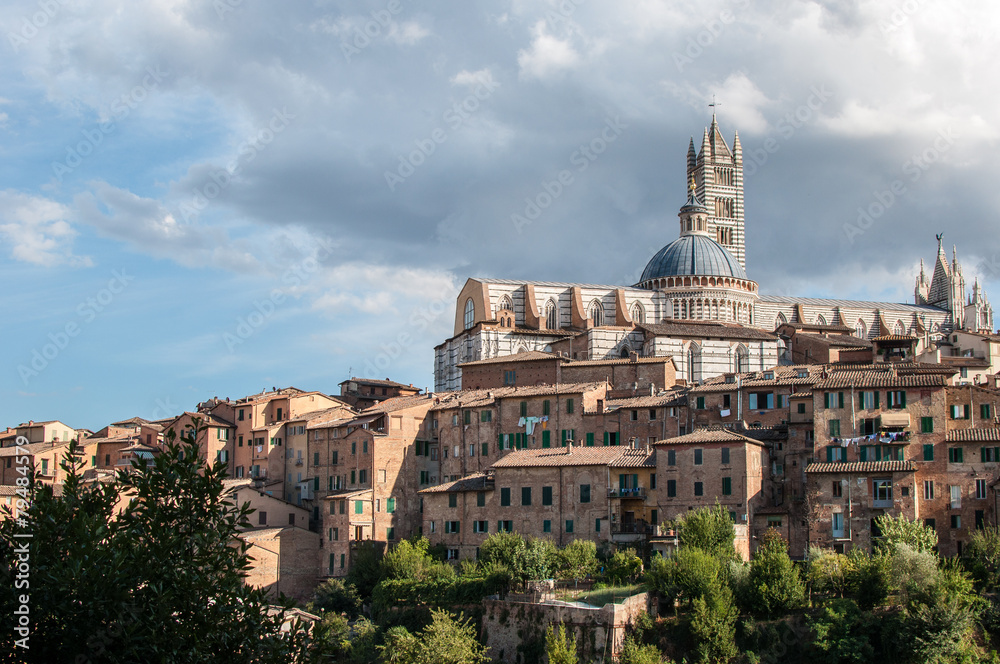 Fototapeta premium Panorama de la cathédrale de Sienne, Toscane