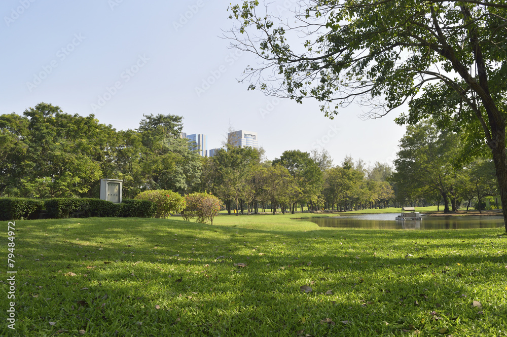 Obraz premium Green grass field in big city park