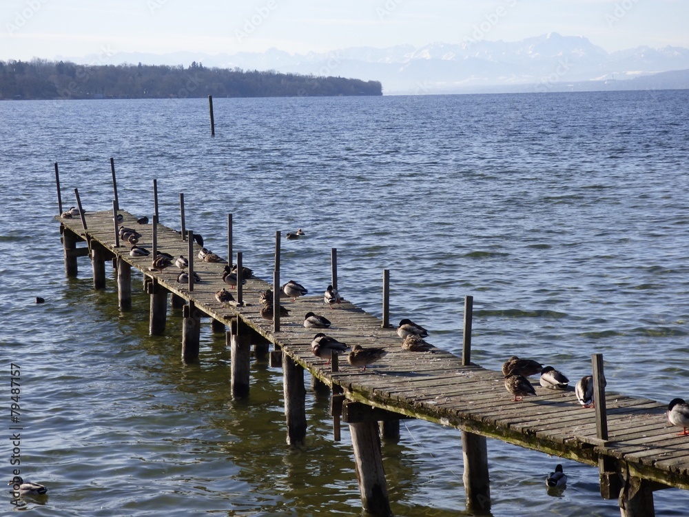 Naklejka premium Morgenstund hat Gold im Mund