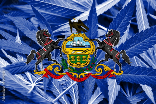 Pennsylvania State Flag on cannabis background. Drug policy.