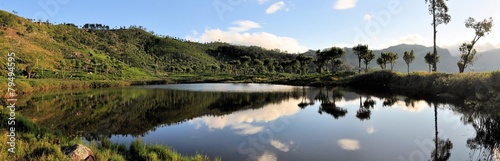 Tea plantations at sunrise with reflection in lake