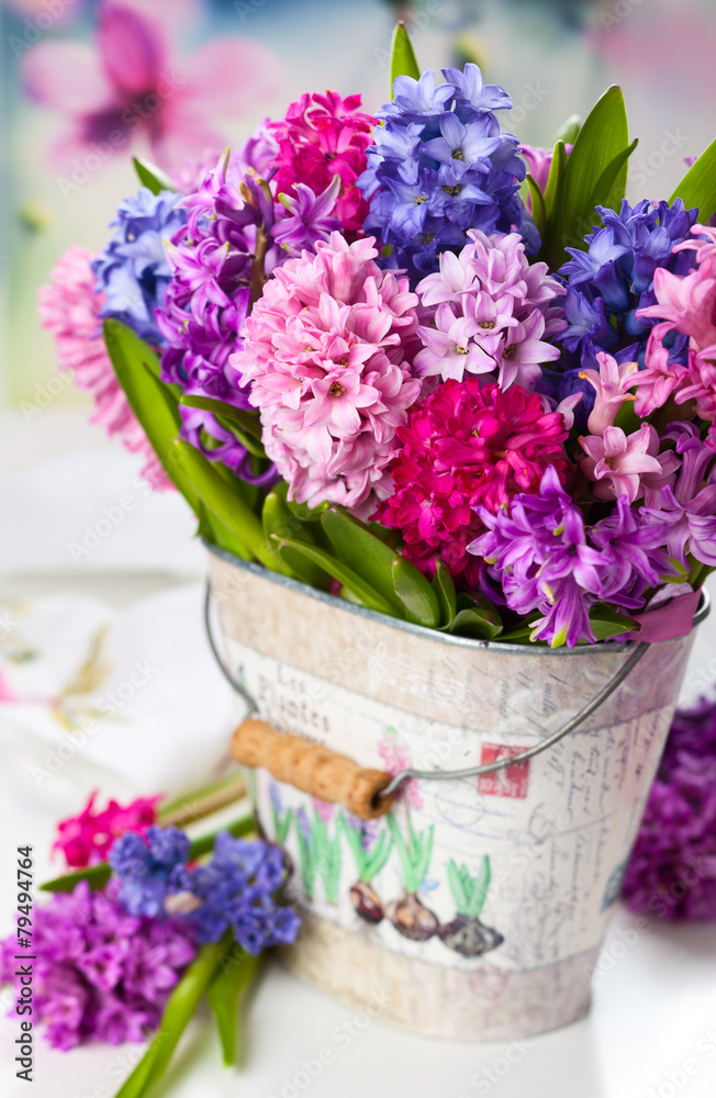 Naklejka premium Multicolored hyacinths