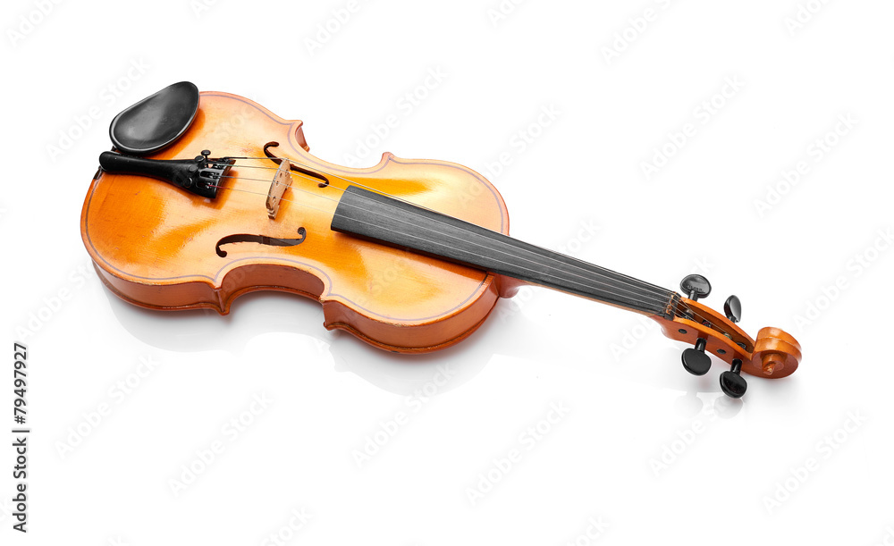 Fototapeta premium violin on white background