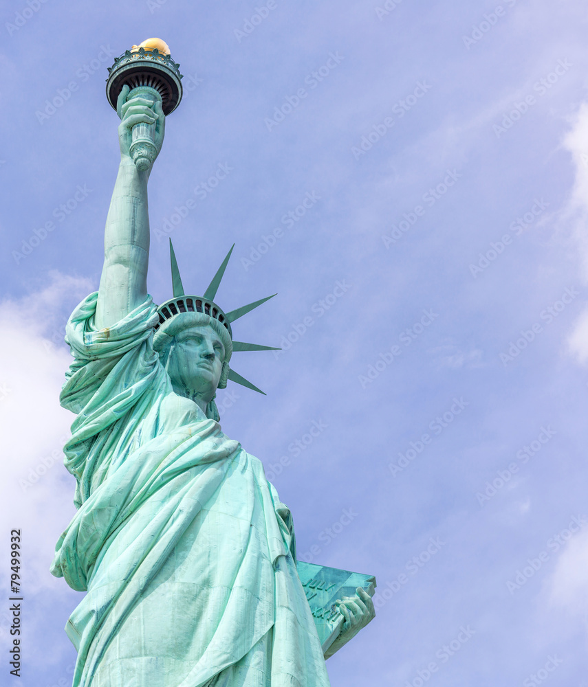 Fototapeta premium The Statue of Liberty
