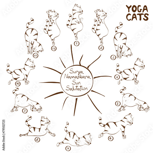 Cat doing yoga position of Surya Namaskara