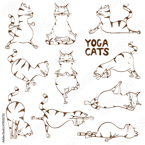 Funny sketch cat doing yoga position