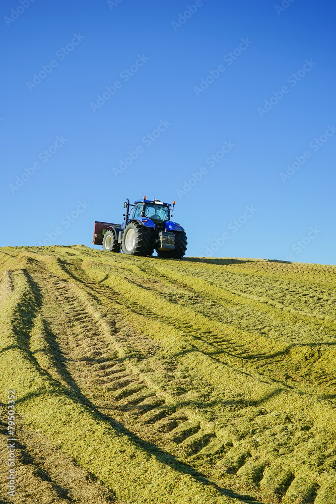 Fototapeta premium Erneuerbare Energien, Schlepper walzt Maissilagehaufen