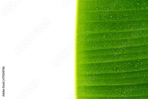 Banana leaves