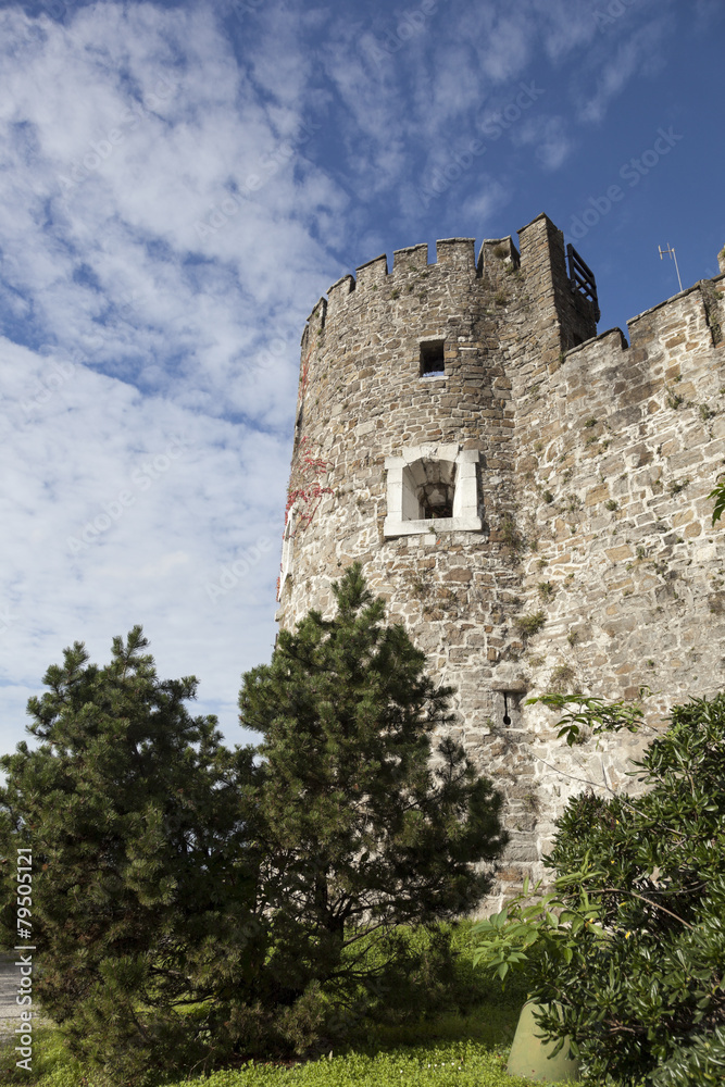 Alberi e torre, Castello di Gorizia