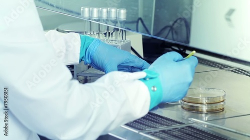 Medical laboratory analysis in a petri dish