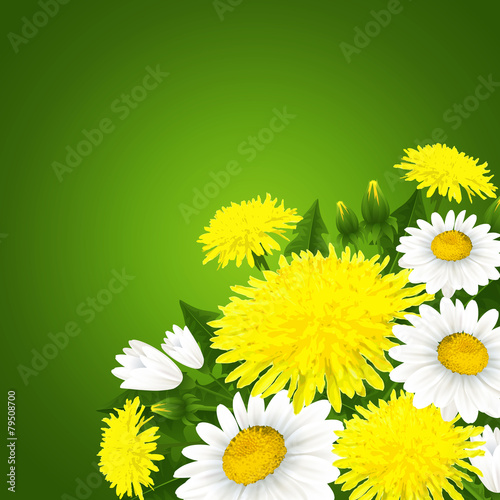 Fototapeta Naklejka Na Ścianę i Meble -  Spring flowers
