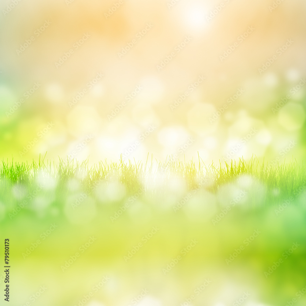 Grass with reflection Grass with reflection