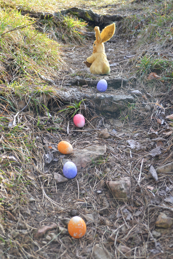 Fototapeta premium Osterhase versteckt die Nester