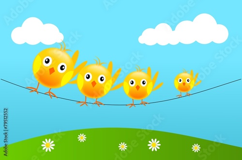 Yellow birds on wire