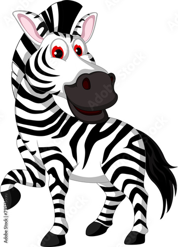 cute zebra cartoon posing