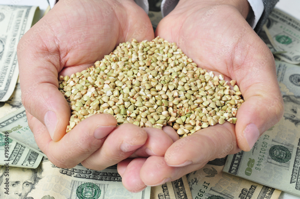 buckwheat seeds and dollar banknotes, depicting the agribusiness