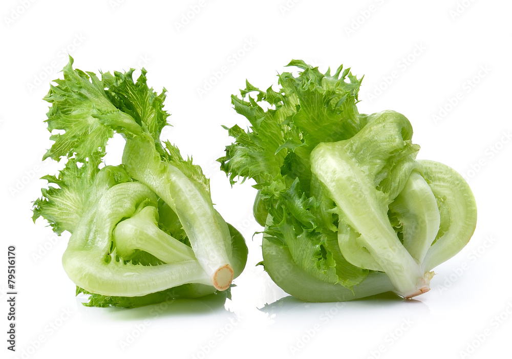 Lettuce on over white background Lettuce on over white background