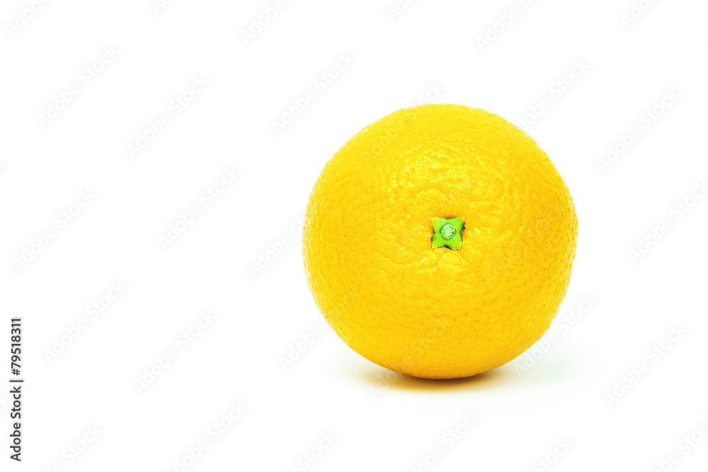 oranges on white background oranges on white background