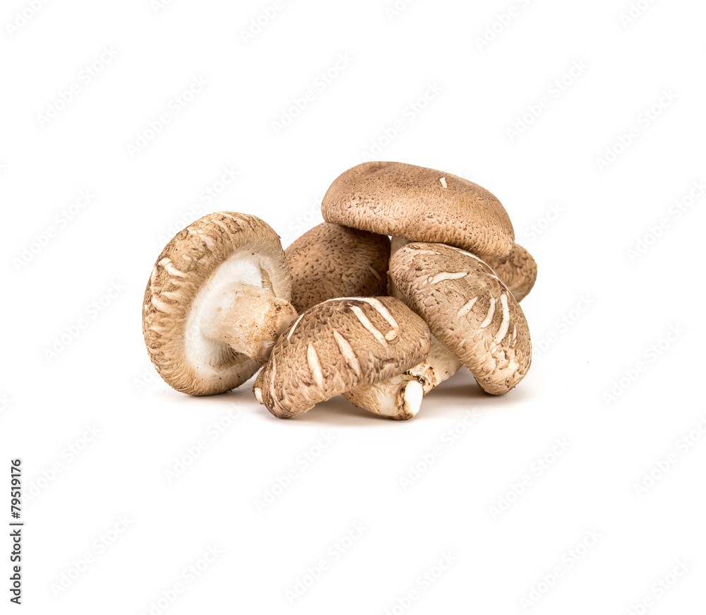 Chinese mushroom on white background Chinese mushroom on white background